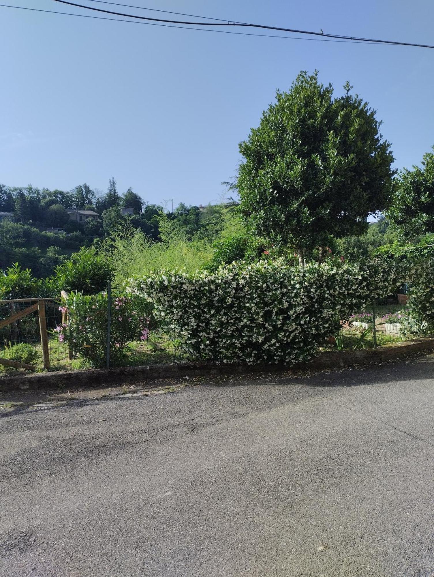 casavacanzetorresansevero Orvieto Esterno foto
